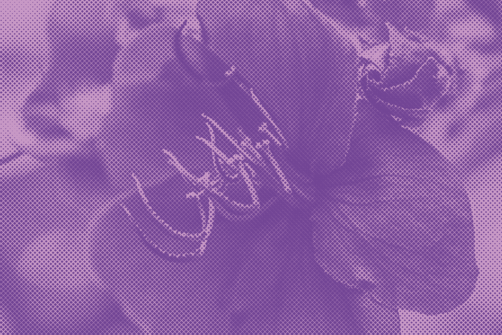 Fin de semana artbo 2016