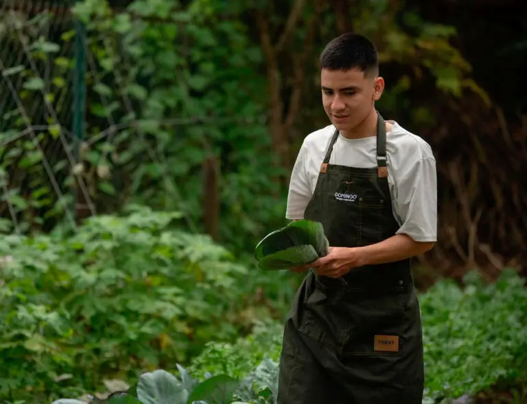 La revolución de la cocina regenerativa: catalina vélez y su proyecto niebla