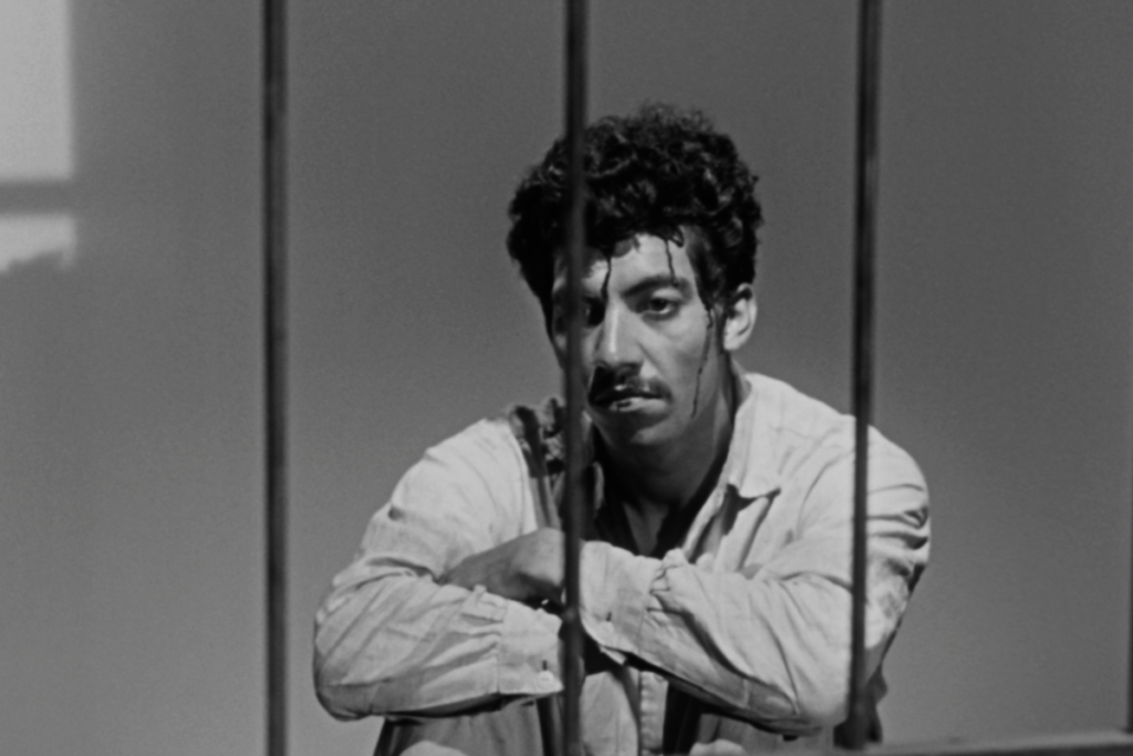 Mubi fest