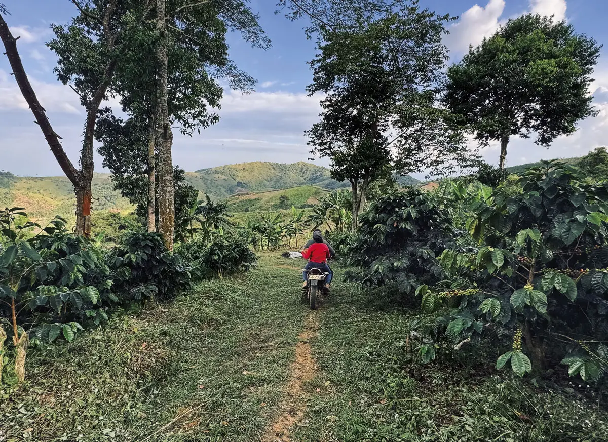 Un café que salva vidas: el milagro del café en el sur de Bolívar
