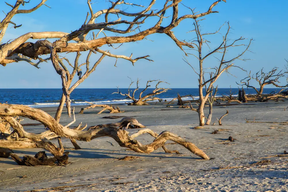 Playas estados unidos