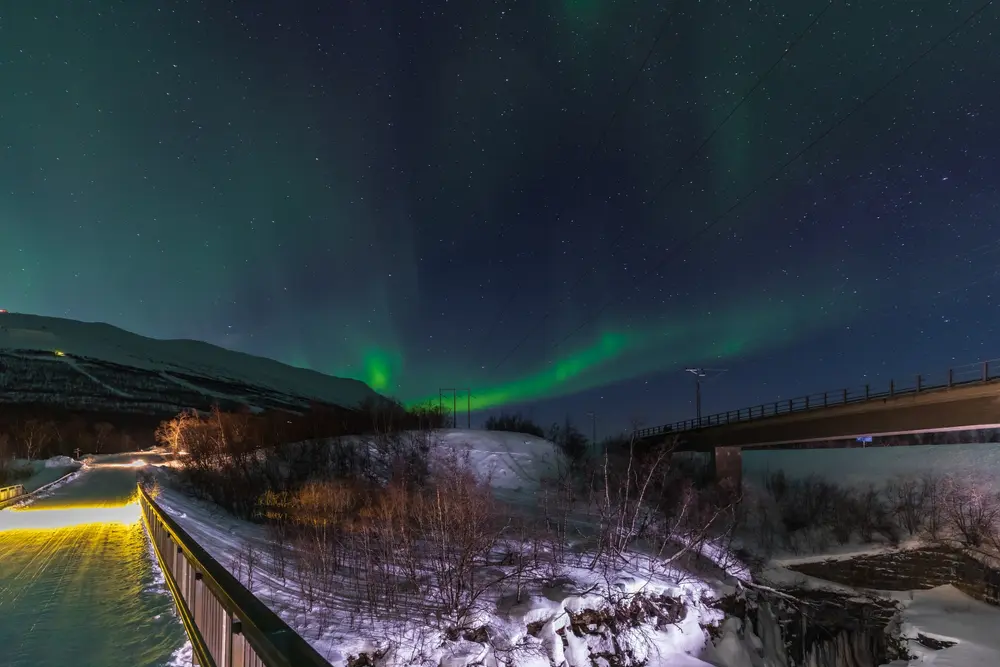 Auroras