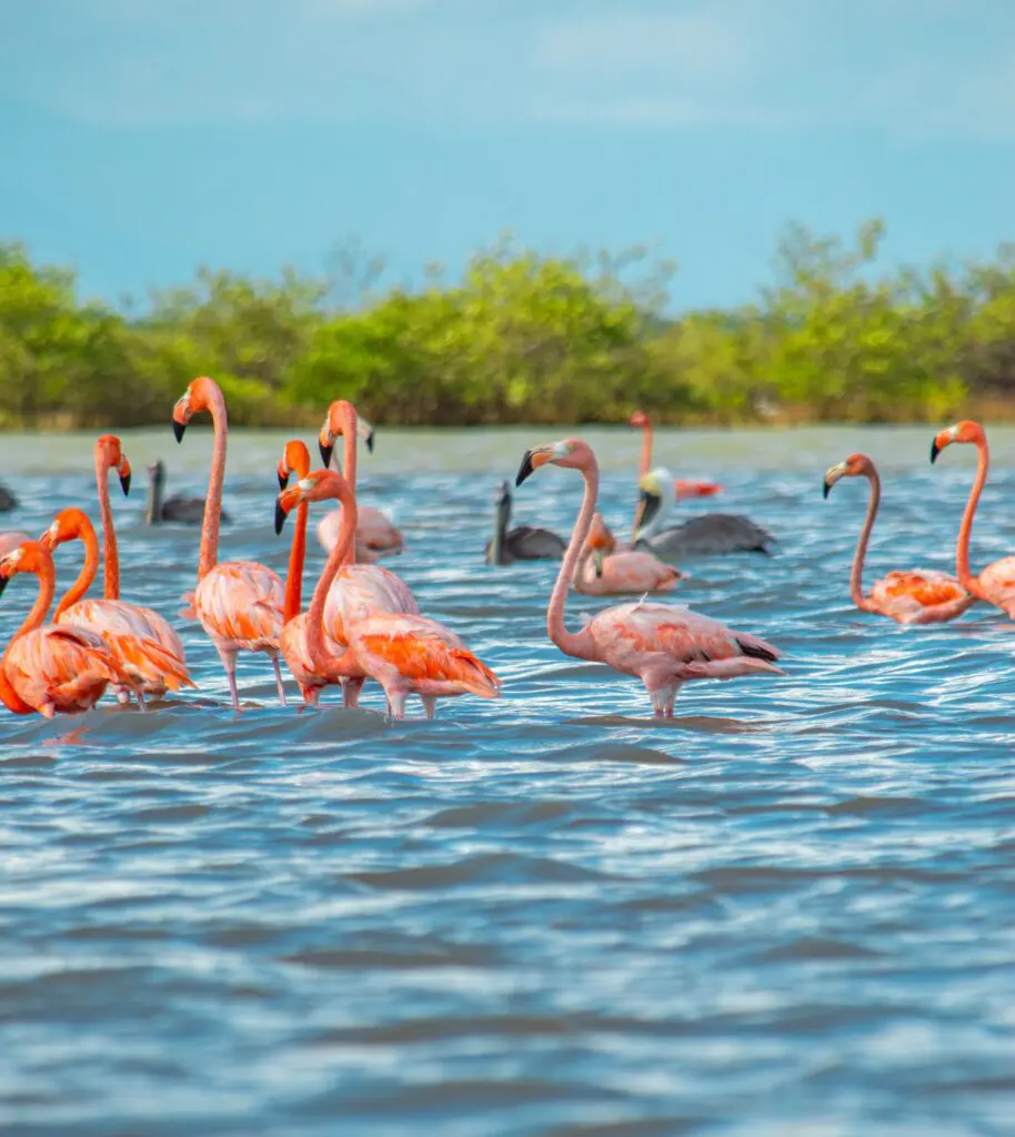 Colombia compite por ser el país más deseable del mundo en los wanderlust reader travel awards 2026 Colombia compite por ser el país más deseable del mundo en los wanderlust reader travel awards 2026