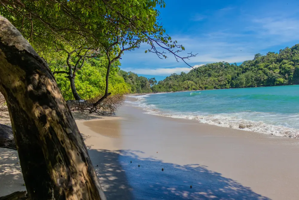 Playas de ensueño en latinoamérica que vale la pena conocer Playas