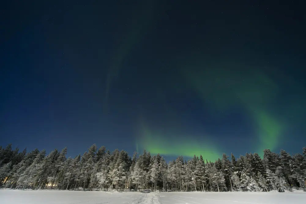 Auroras