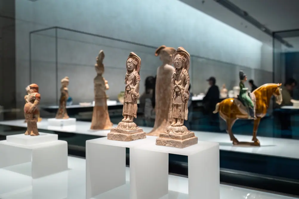 Museos
