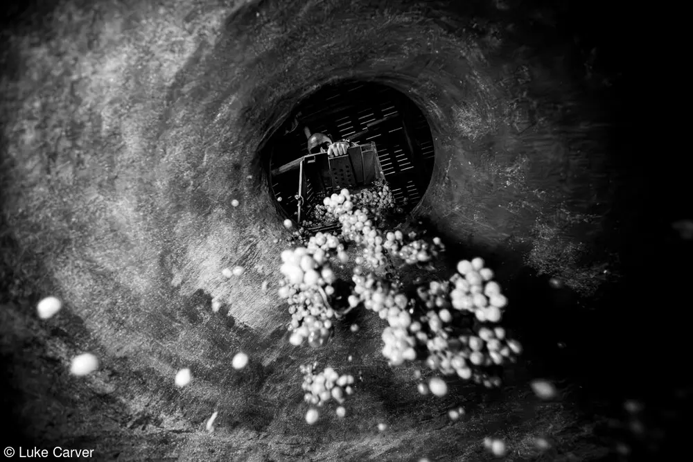 Fotografía