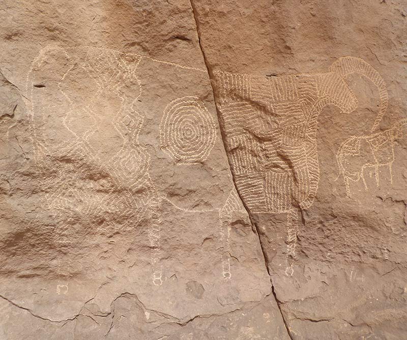 unescochad_800x669