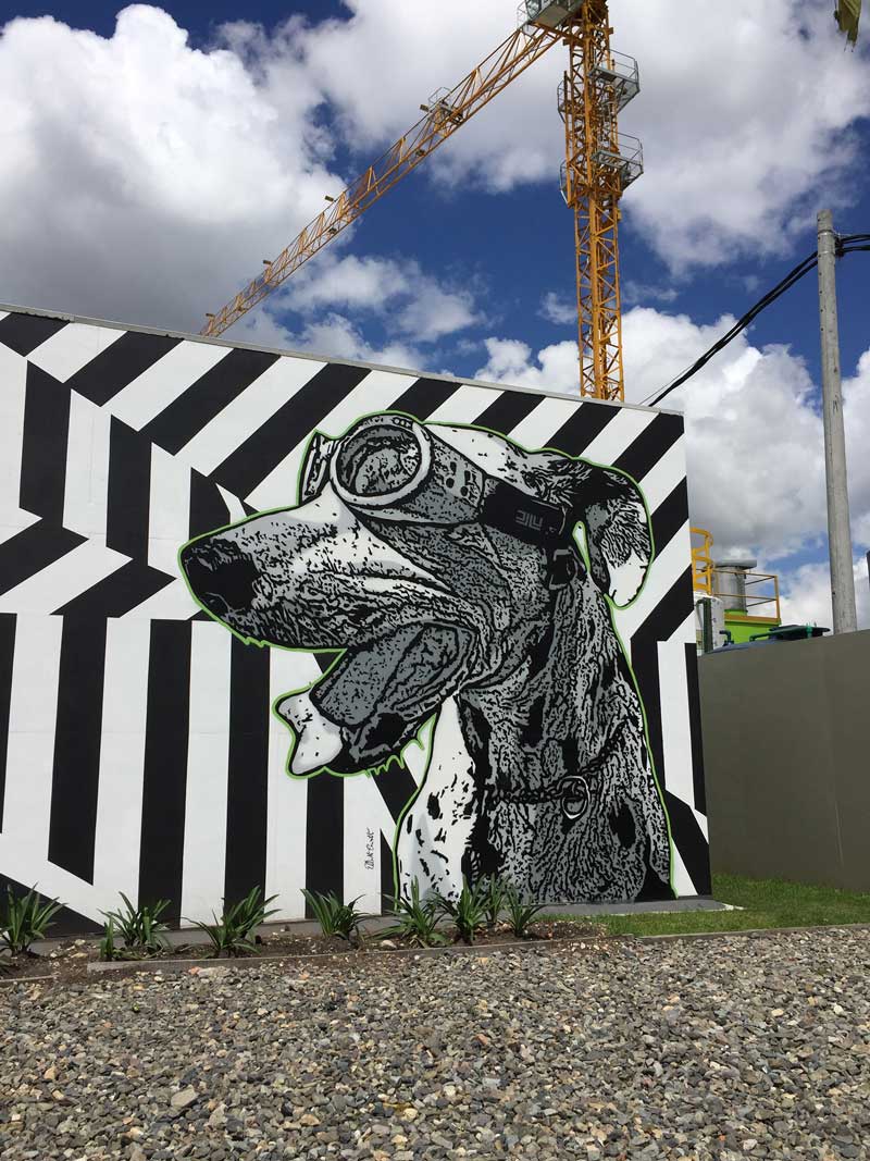 arte urbano en Colombia