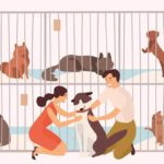 Guía para adoptar perros en Colombia