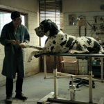 Dogman, una película italiana que no se puede perder