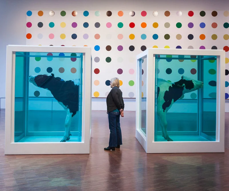 ¿El arte contemporáneo es un fraude?