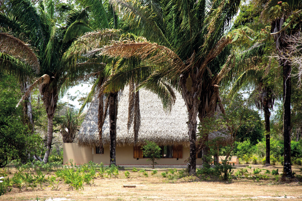 llanos