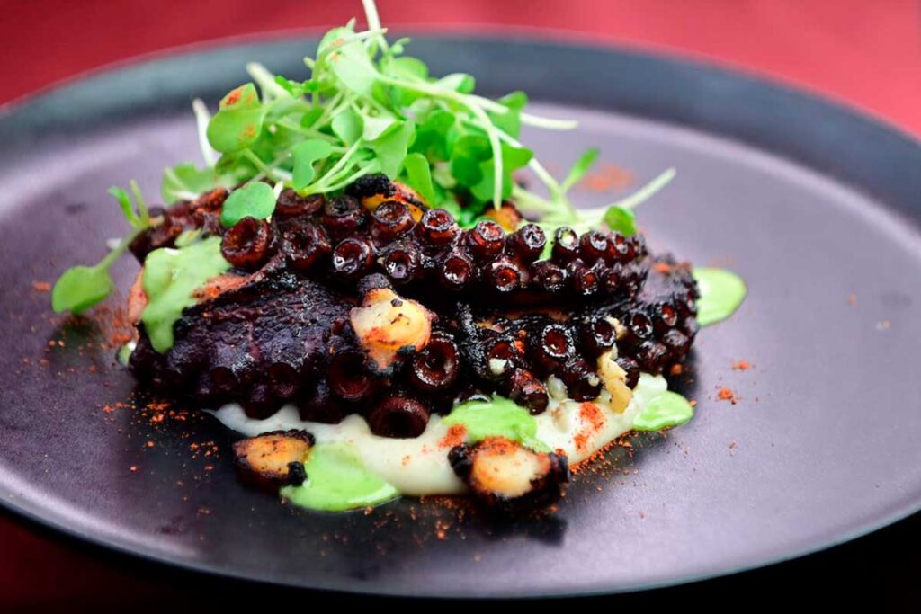 pulpo, entrada, Fontibón, Sebastián Rico
