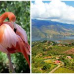 Cali y Riohacha, dos destinos para redescubrir Colombia