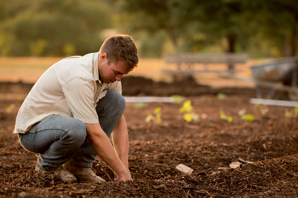 Consejos para empezar su proyecto de compostaje y agricultura urbana
