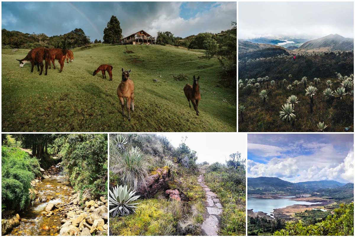 Siete rutas para hacer senderismo alrededor de Bogotá