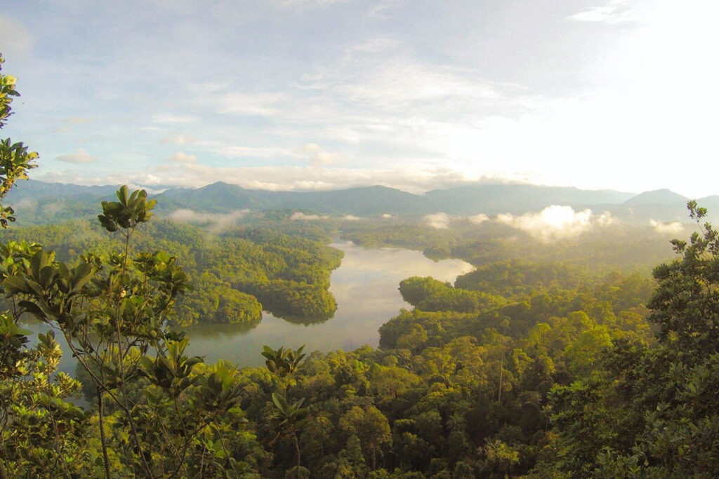 selva del Amazonas