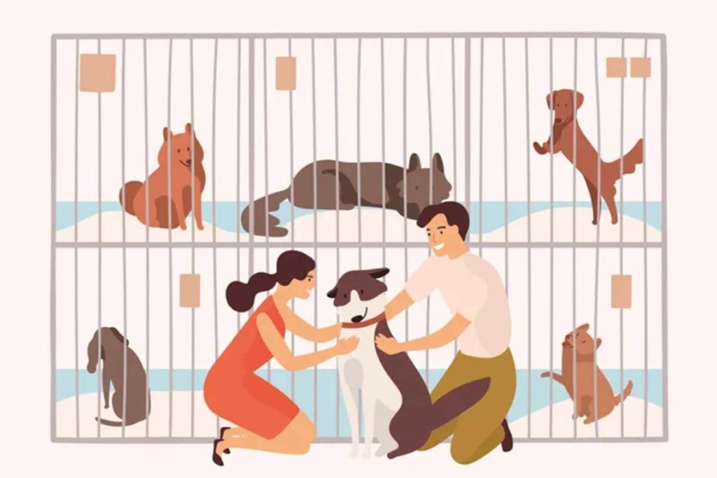 Ilustración shutterstock por GoodStudio