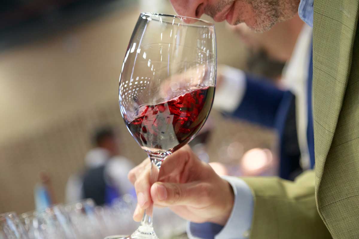 ¿Cuáles son los vinos ganadores de Expovinos 2022? 