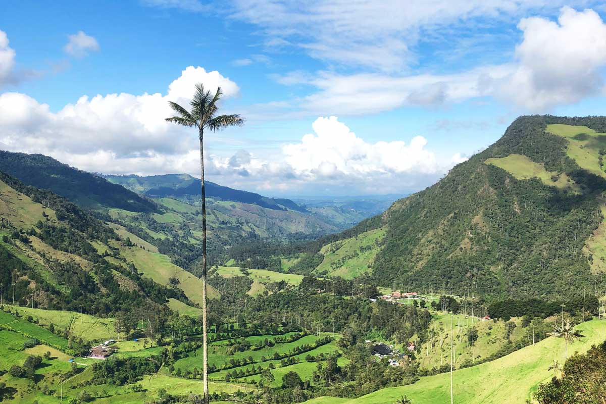 Cinco planes en Colombia para retar al destino
