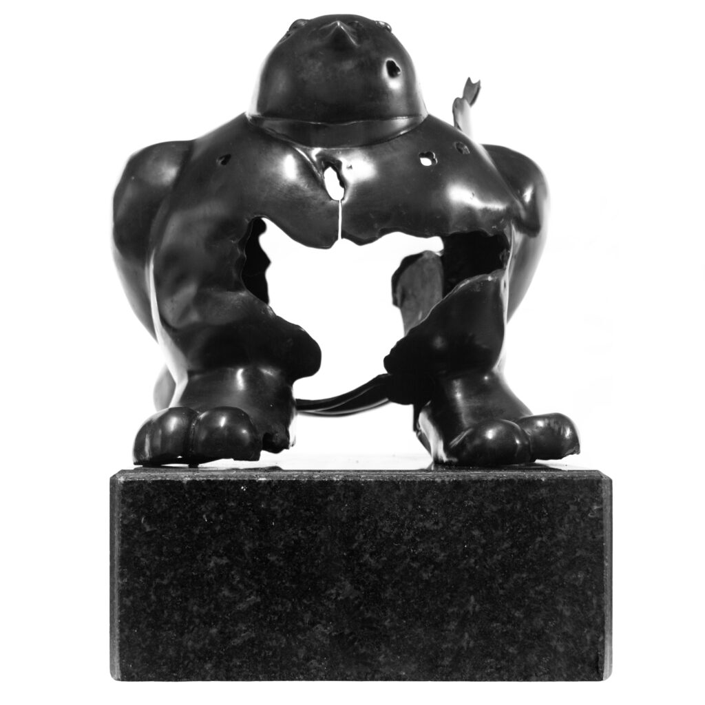 Carlos Castro artista