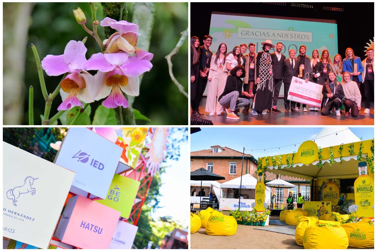 Orquídeas, la inspiración del ganador del premio Mario Hernández de Colombia