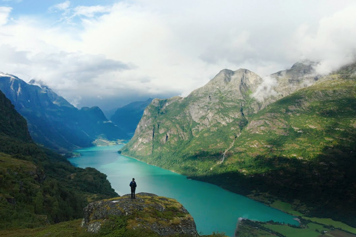 Cinco películas para disfrutar en Planet On, el festival de cine medioambiental de Bogotá