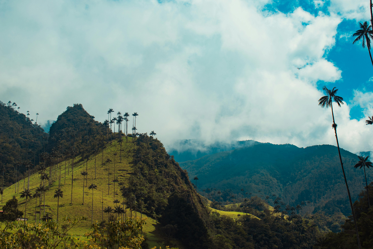 De montañas, aves y café: razones para enamorarse del Quindío