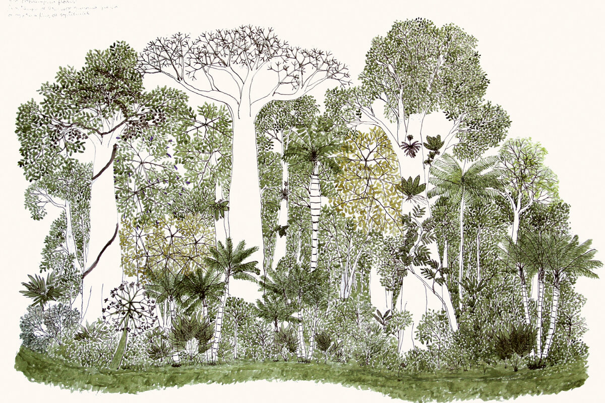 Paraísos y jardines: la exposición en el MAMU que retrata la promesa de un mundo mejor