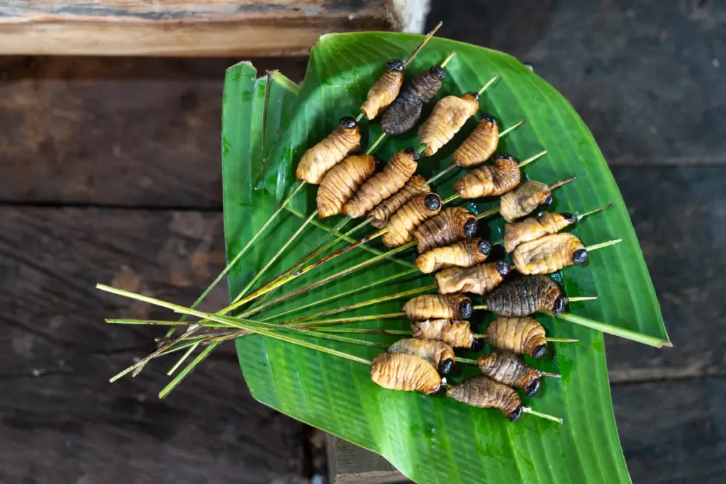 Araracuara