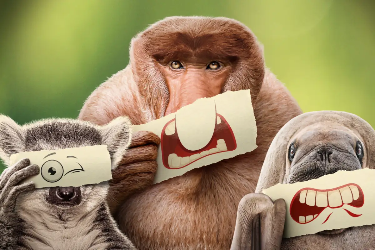 underdogs ryan reynolds