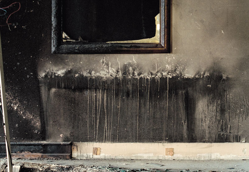 Lenguaje, memoria y medioambiente en la colección de arte de seguros bolívar Lenguaje, memoria y medioambiente en la colección de arte de seguros bolívar