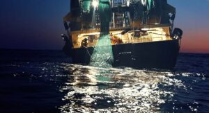 Seaspiracy: lo que debe saber sobre el documental del que todos hablan