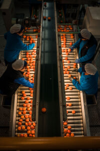 Galería: las fotos ganadoras de los premios sony world photography 2019 llegarán a medellín