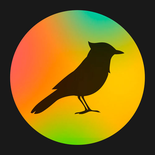 Conozca las 8 aplicaciones para concentrarse y ser más productivo