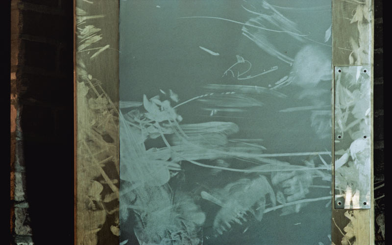 Lenguaje, memoria y medioambiente en la colección de arte de seguros bolívar Lenguaje, memoria y medioambiente en la colección de arte de seguros bolívar