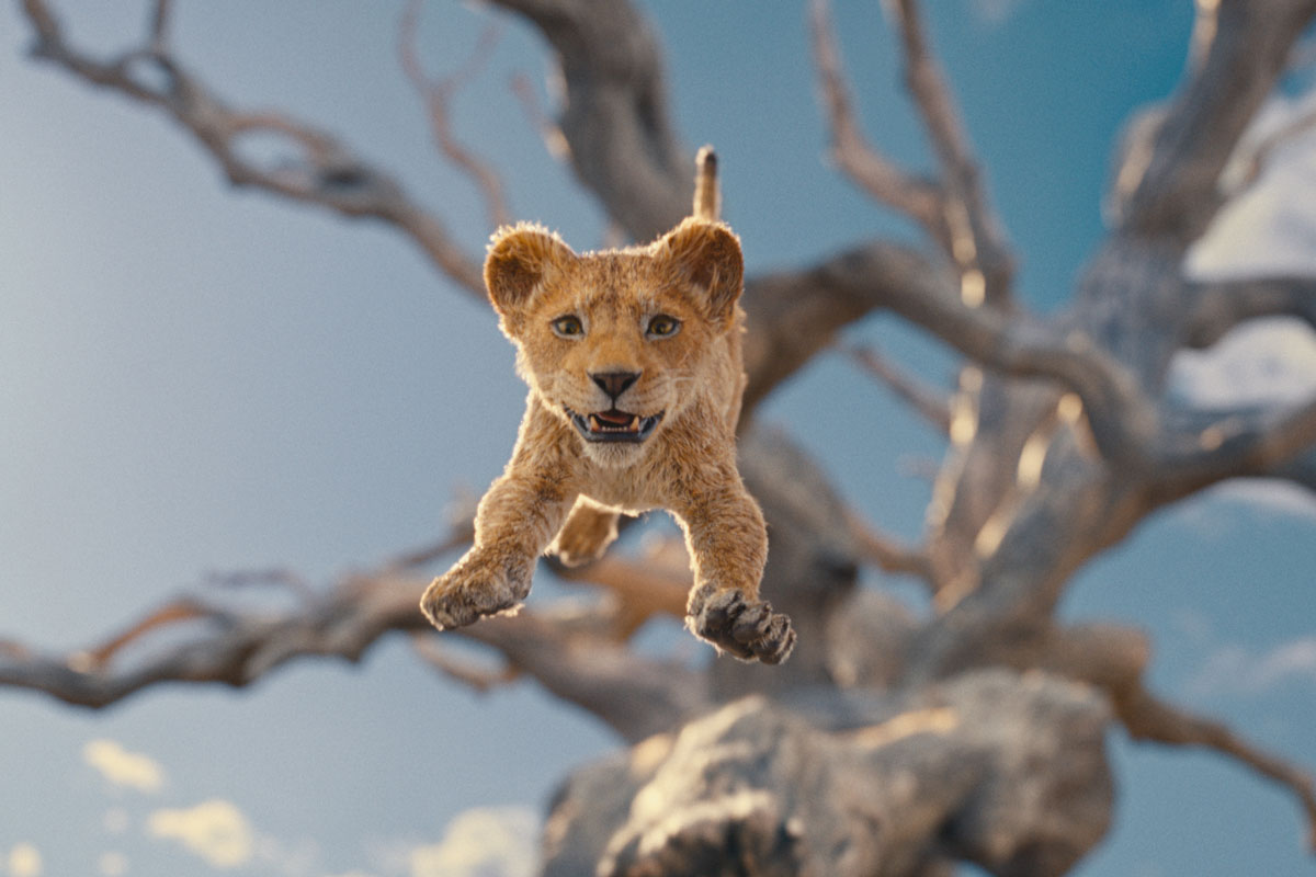 Mufasa (voiced by Braelyn Rankins) in Disney’s MUFASA: THE LION KING. Photo courtesy of Disney. © 2024 Disney Enterprises Inc. All Rights Reserved.