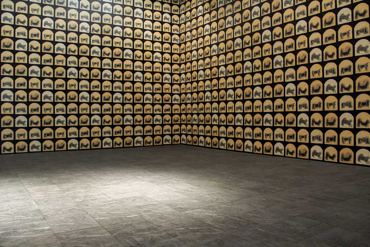 Cinta amarilla Bruma