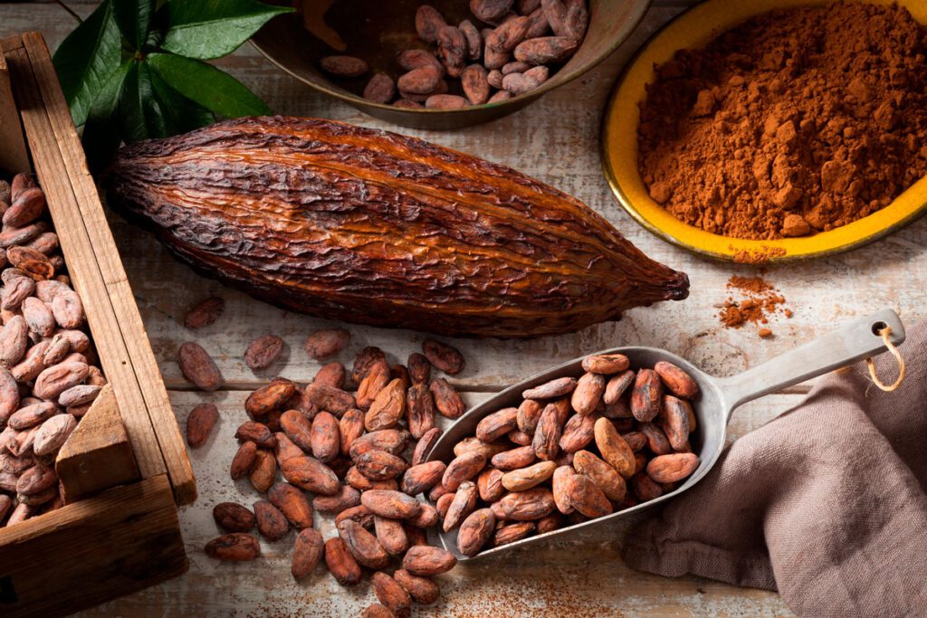 Día mundial del cacao: 4 propuestas colombianas, un placer para los sentidos Casa rivera del cacao