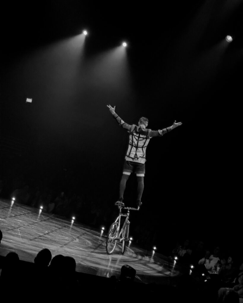 circo del sol bazzar