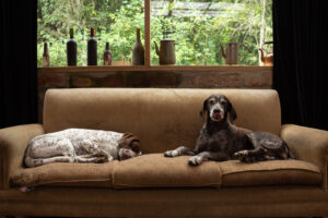 Galería: las fotos ganadoras de los premios sony world photography 2019 llegarán a medellín