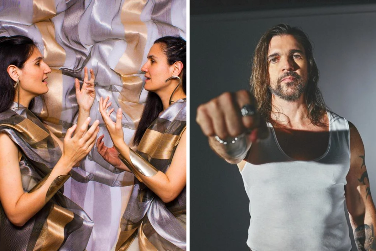 Artistas en el Festival Cordillera