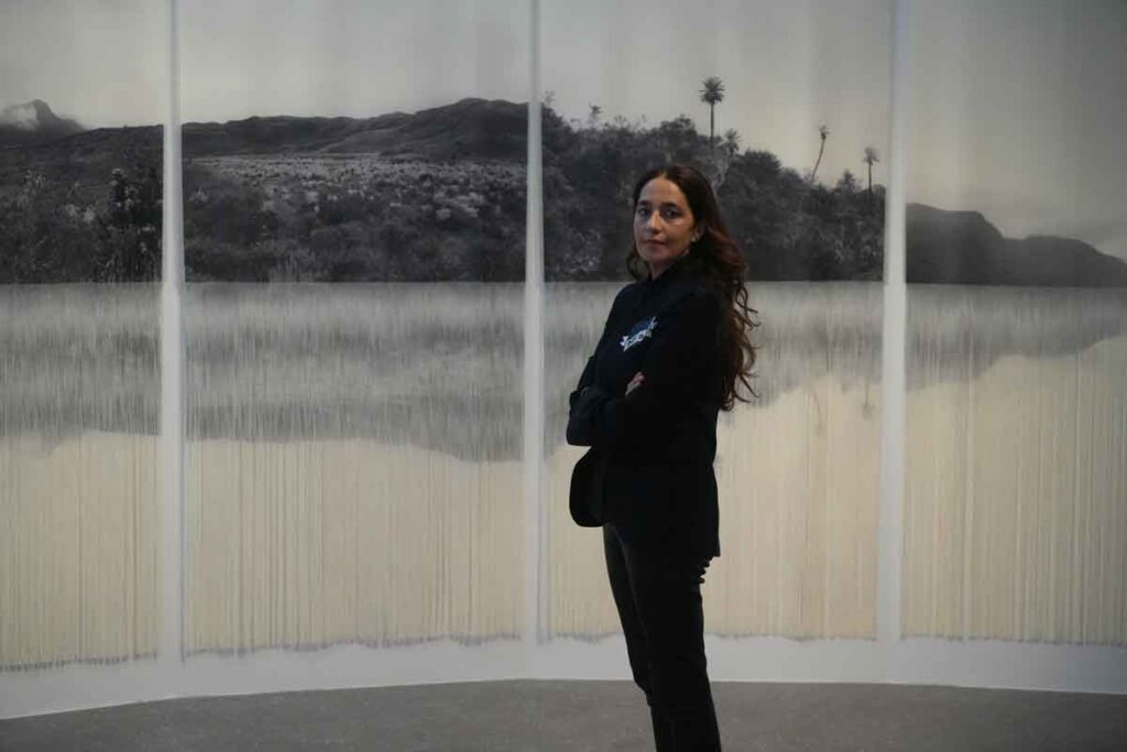 Llovizna: la fuerza sutil de la naturaleza en la obra de ana gonzález Ana gonzález en su exposición llovizna