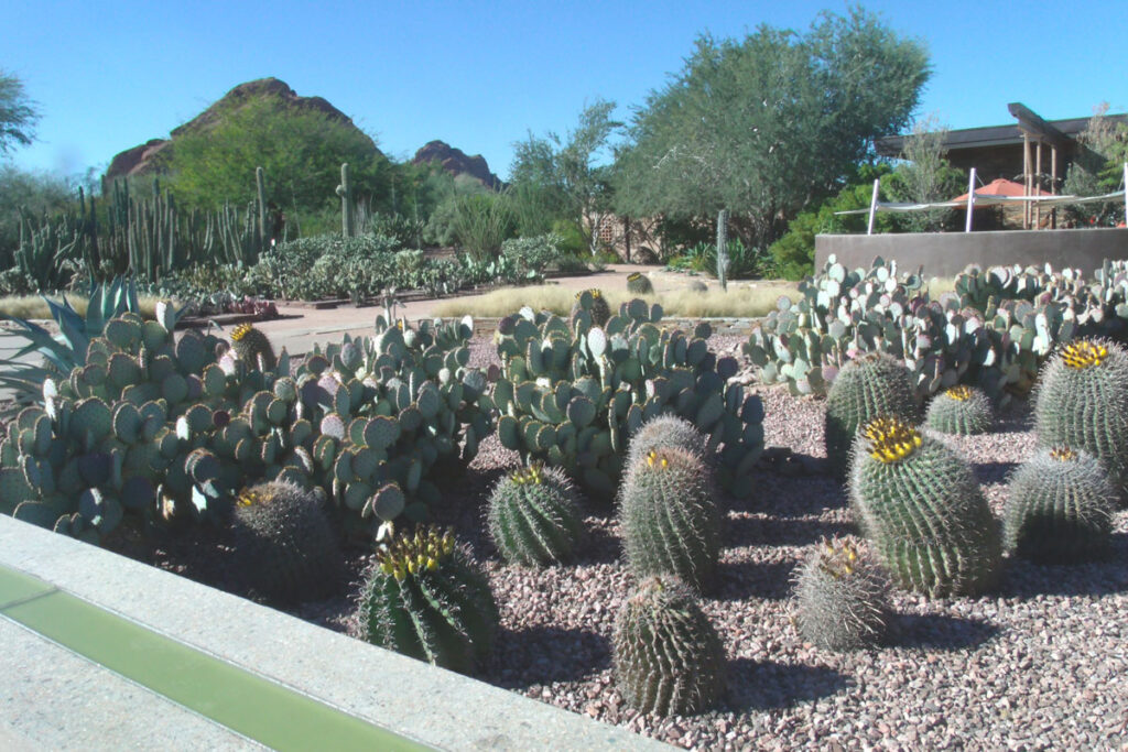Los lugares que puede visitar en las ciudades donde colombia es sede en la copa américa Los lugares que puede visitar en las ciudades donde colombia es sede en la copa américa
