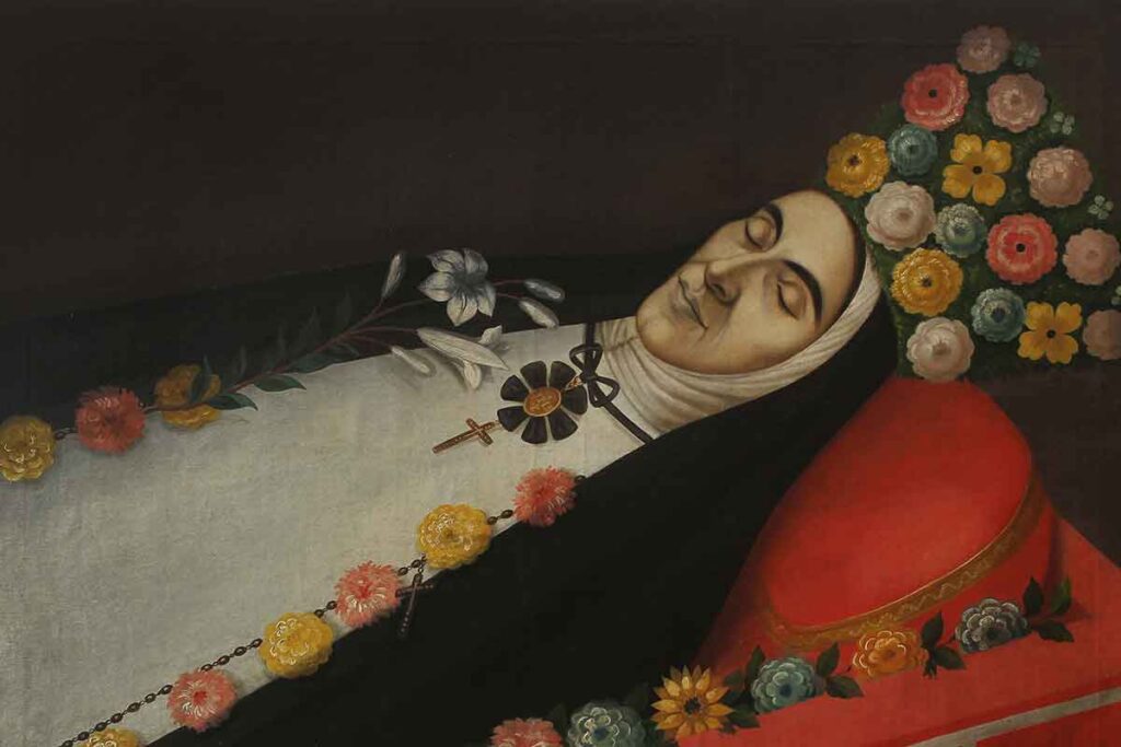 La historia secreta detrás de las flores de las monjas coronadas