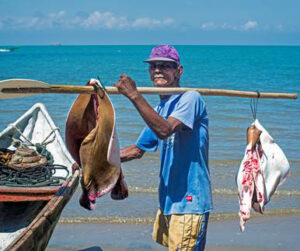 Morrosquín: la marca colombiana de pescadores artesanales del golfo de morrosquillo