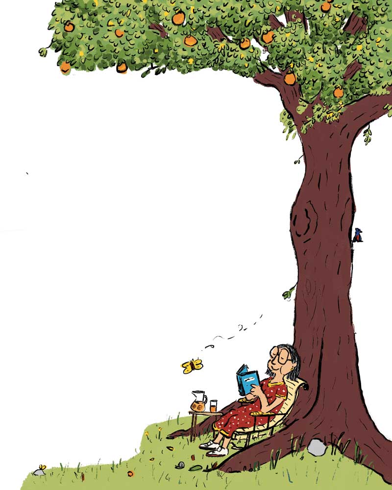 Finanzas aportes a las pensiones