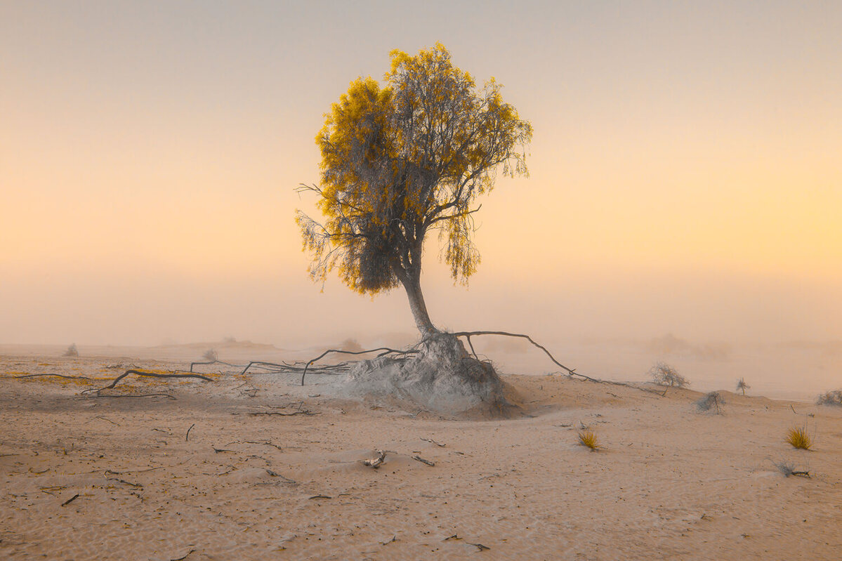 Fotografía Life Framer