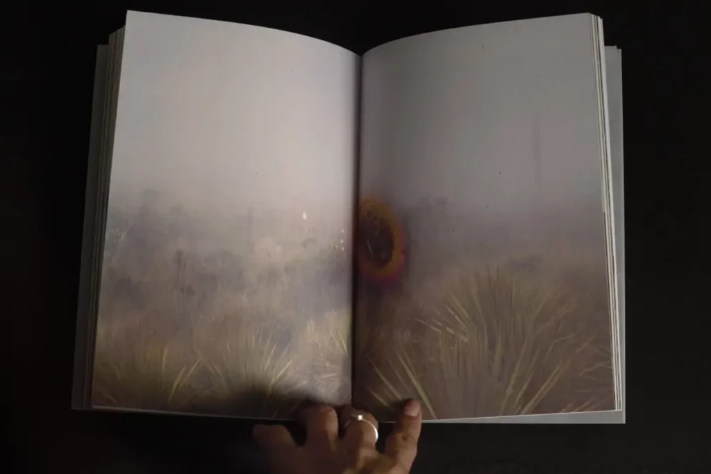 El caballero del páramo: la memoria del conflicto contada a través de imágenes